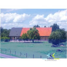 Ophuizen- Heijltjes Coll. G.B.Janssen F00000507